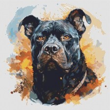 American Bully Puppy Dog