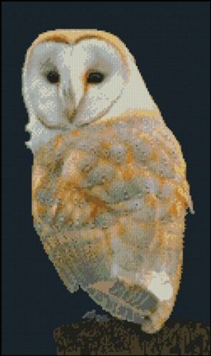 Barn owl counted - cross, stitch