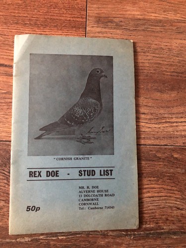Racing pigeon pigeons book rex - pigeons,