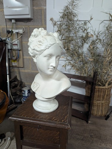 Venus hollow form life - venus,