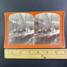 Bridge in Guerneville