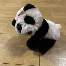 Black And White Panda With
