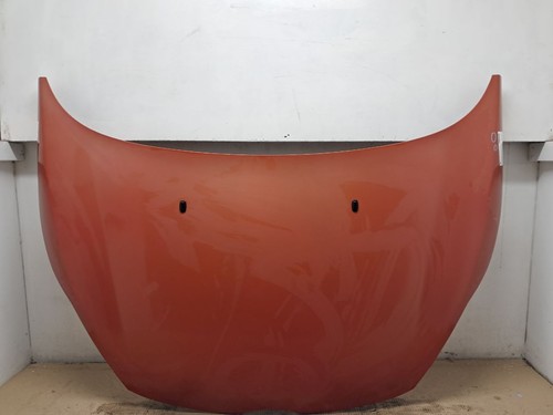 Ford fiesta zetec bonnet - ford,