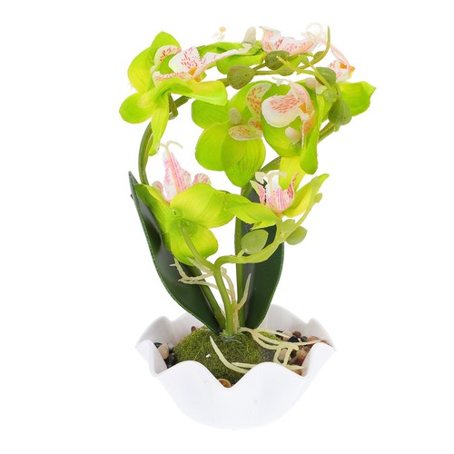 Fake phalaenopsis pot - in,