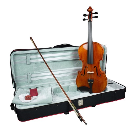 Hidersine viola piacenza - viola,