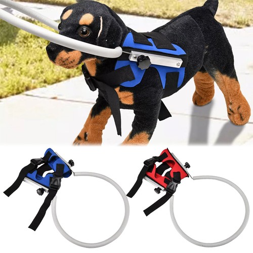 Blind dog halos eco - blind,