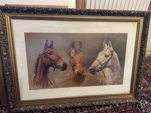 Horse racing three kings - horse,