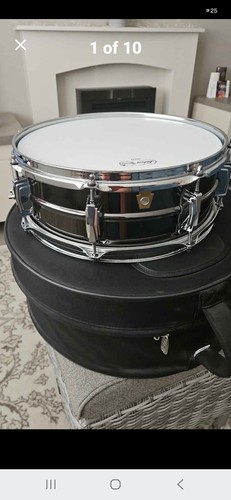 Ludwig black beauty - beauty, x