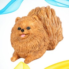  Miniature Pomeranian Dog