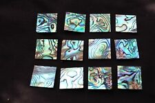 New Zealand Abalone Mother of