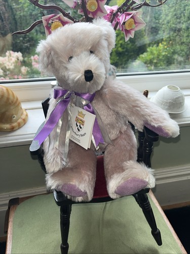 Canterbury teddy charity - teddy, ‘charity’