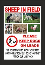 SHEEP IN FIELD KEEP DOGS ON
