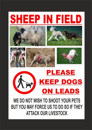Sheep field keep - in, on