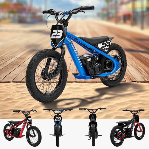 Riiroo kidcruiser pro - riiroo, 250w