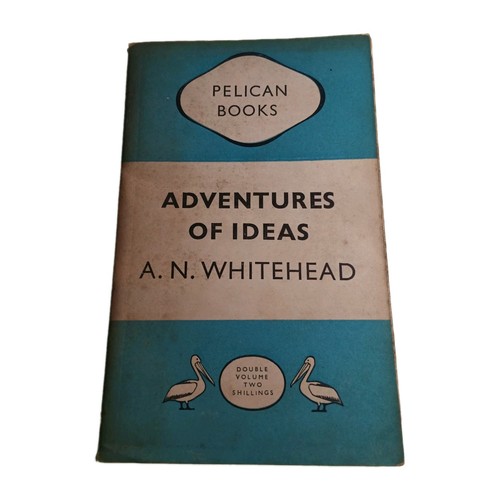 Adventures ideas whitehead - ideas,