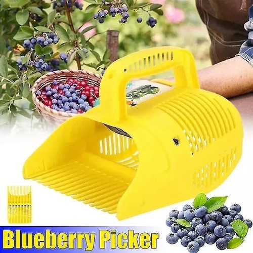 Berry picking comb tool - berry,