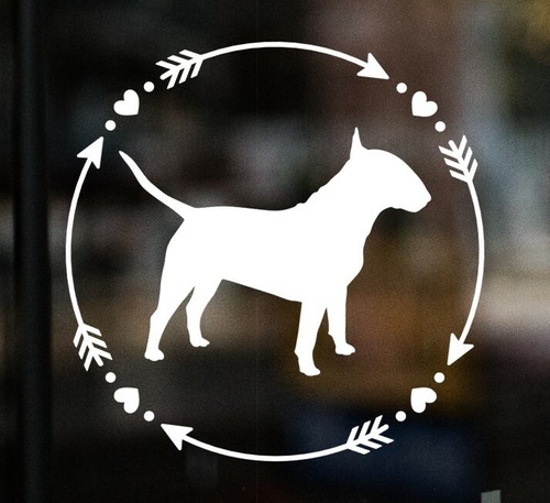 English bull terrier - terrier, car
