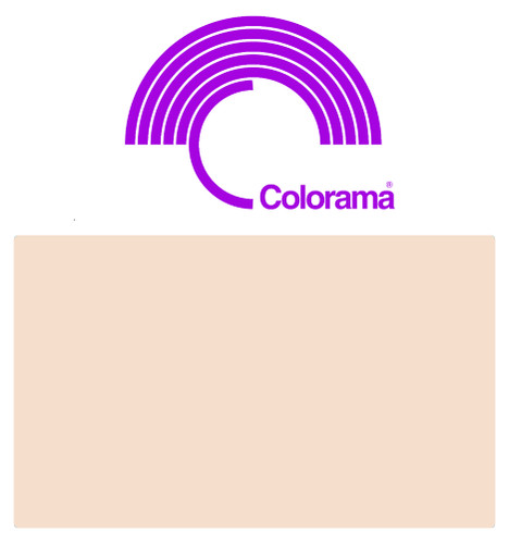 Colorama oyster background - colorama,