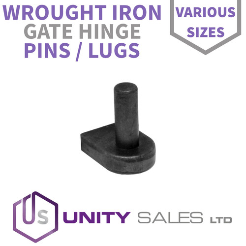 Wrought iron gate hinge - gate, pins
