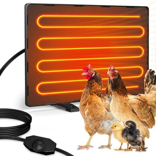 Chicken coop heater safe - chicken,