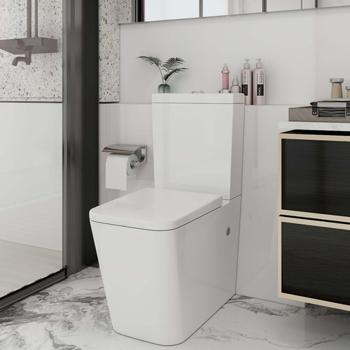 Rimless dual flush - rimless, close