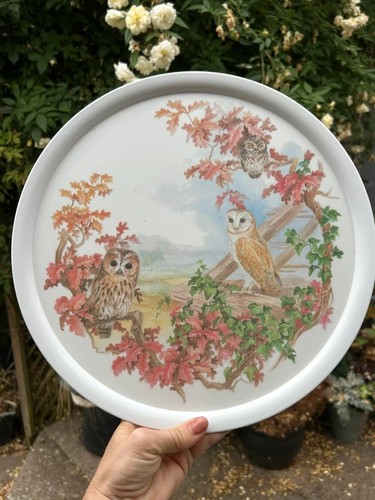 Vintage round melamaster - vintage, owl