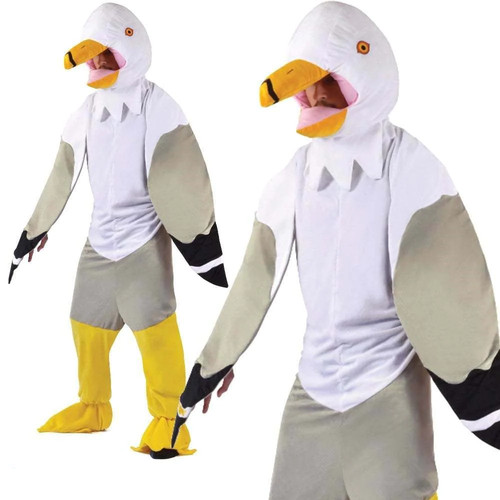 Adults seagull bird big - adults,