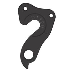 Derailleur Hanger for Asylum