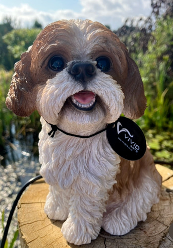 Vivid arts sitting shih tzu - -,