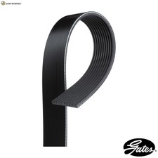 V-RIBBED BELT 10PK1163AHD FOR