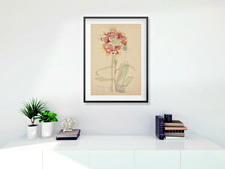 Rennie Mackintosh Gallardia framed A3 digital print black white oak frame