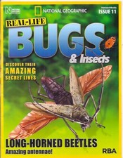 real-life bugs &