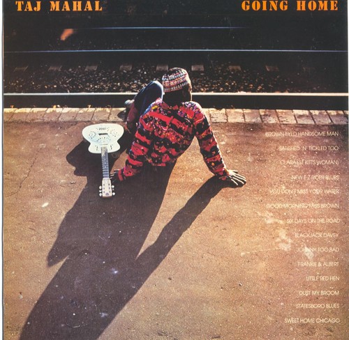 Taj mahal going home 12 - home, 12"