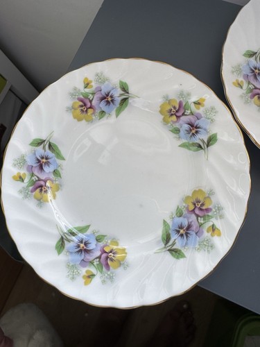 Crown staffordshire pansy - crown,