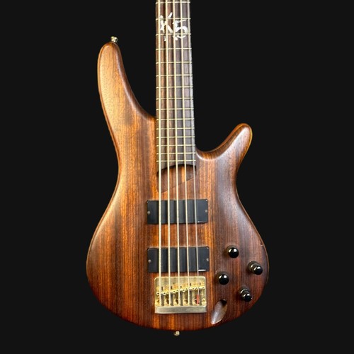 Ibanez string bass guitar - ibanez,