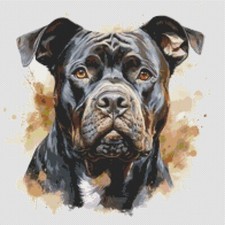 American Bully Puppy Dog