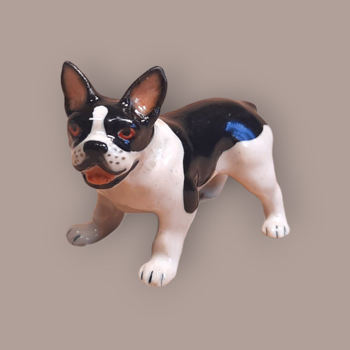 Northern rose dog french - northern,