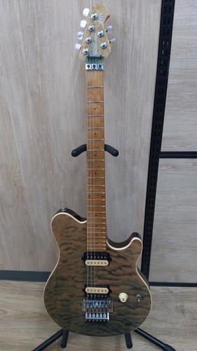 Ernie ball musicman electric - ernie,