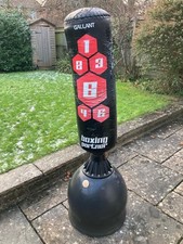 Gallant Free 5 ft Free