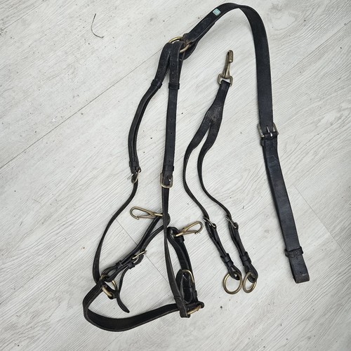 Kate negus black - black, martingale