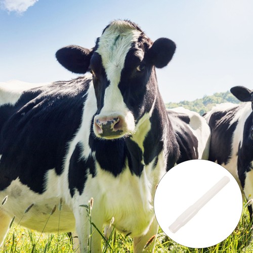 Silicone tubing milk tube - ,