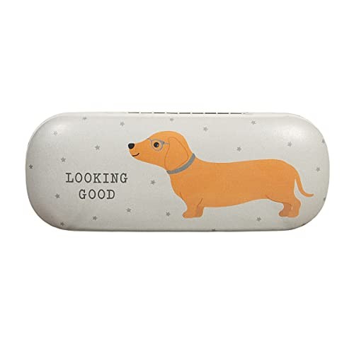 Sass belle dachshund - sass,