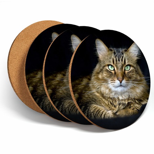 Set tabby maine - -,