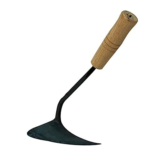 Korean authentic youngjoo - korean, hoe