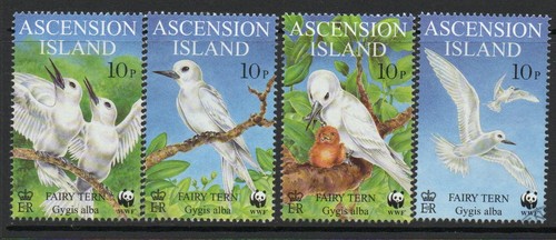 Ascension 1999 endangered - ascension,