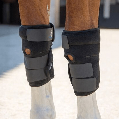 Shires replacement ice pack - shires,