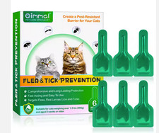 Spot application cat flea - cat,