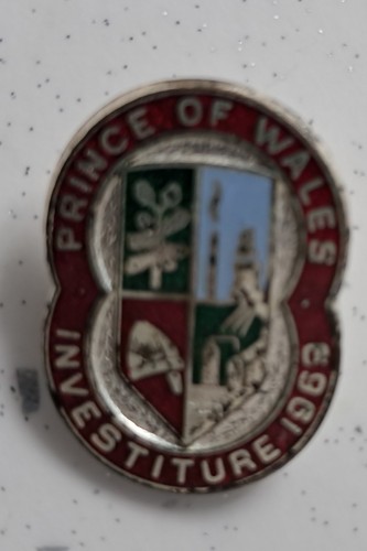 Prince wales investiture - of,