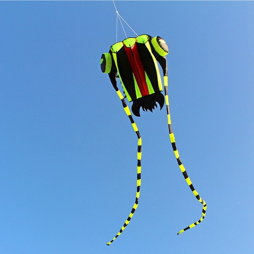 Kite for kids and adults - kite,