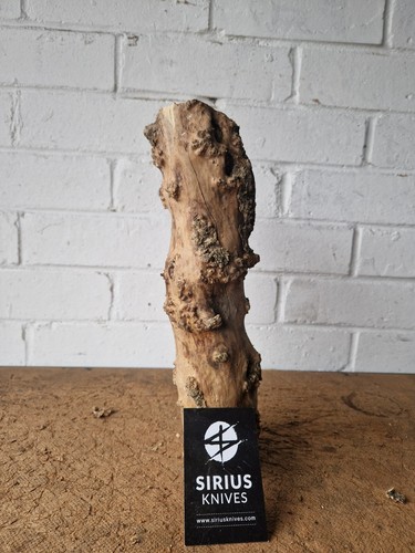 Rare boxwood burl - rare,